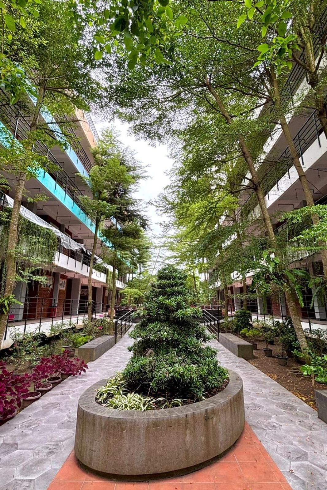 棉兰 瓜拉纳穆铜丝旅馆酒店 外观 照片